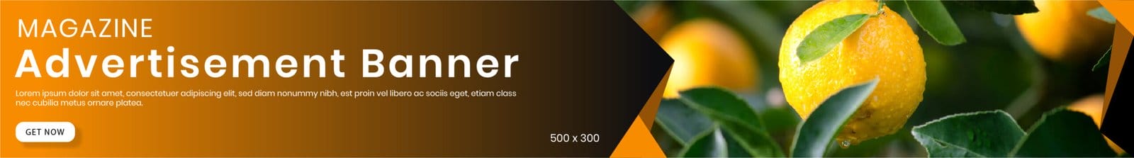 Advertisment Image