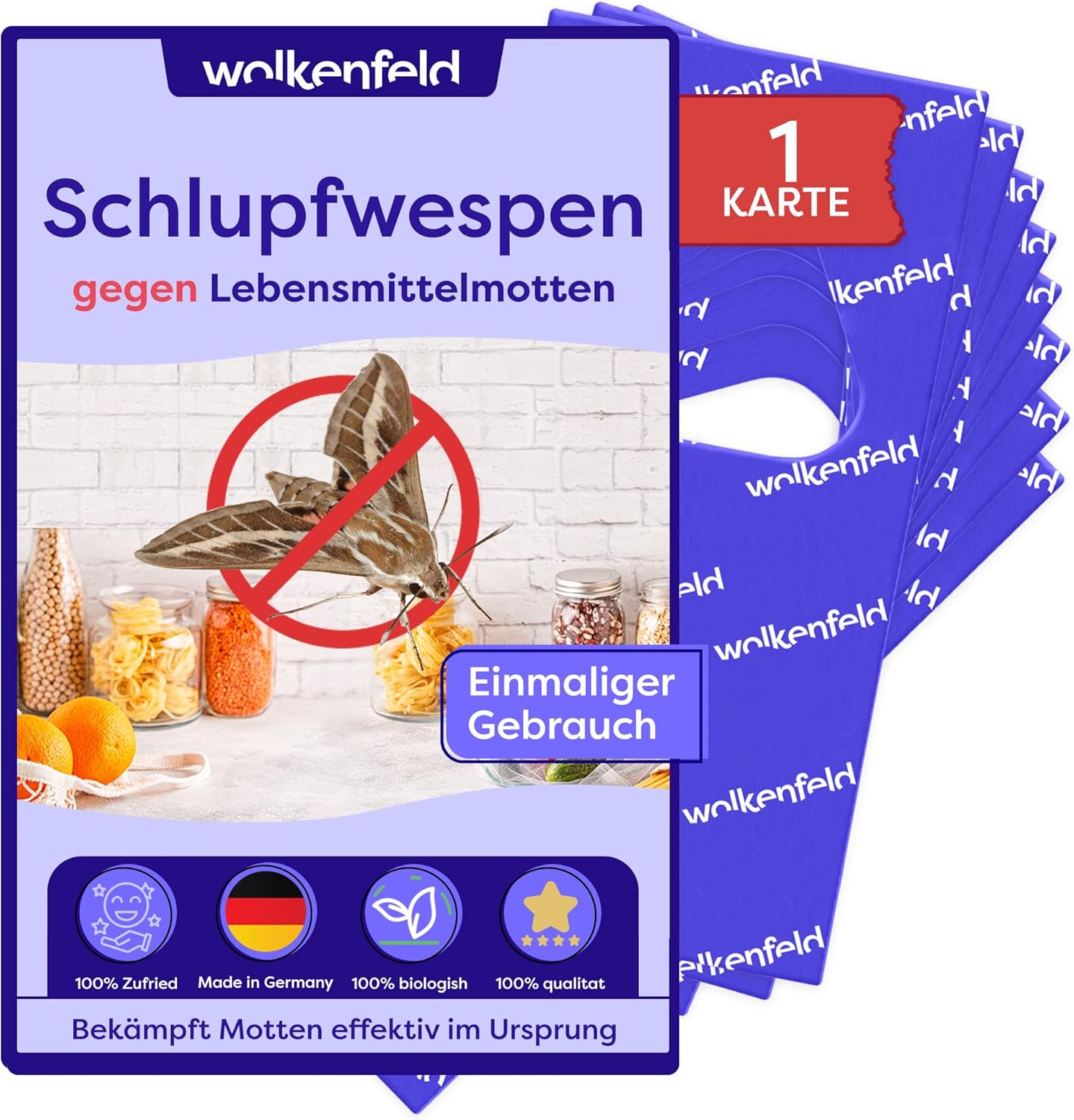 Natürlicher Schutz gegen Lebensmittelmotten: Wolkenfeld Schlupfwespen im Test