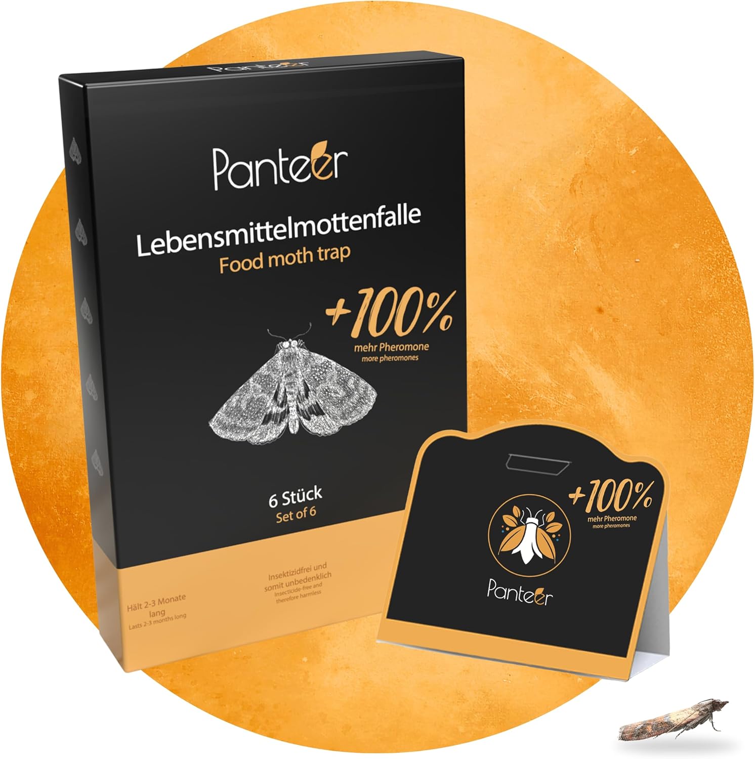 SCHÄDLINGSMEISTER Mottenfalle: Effektiver Schutz gegen Lebensmittelmotten!