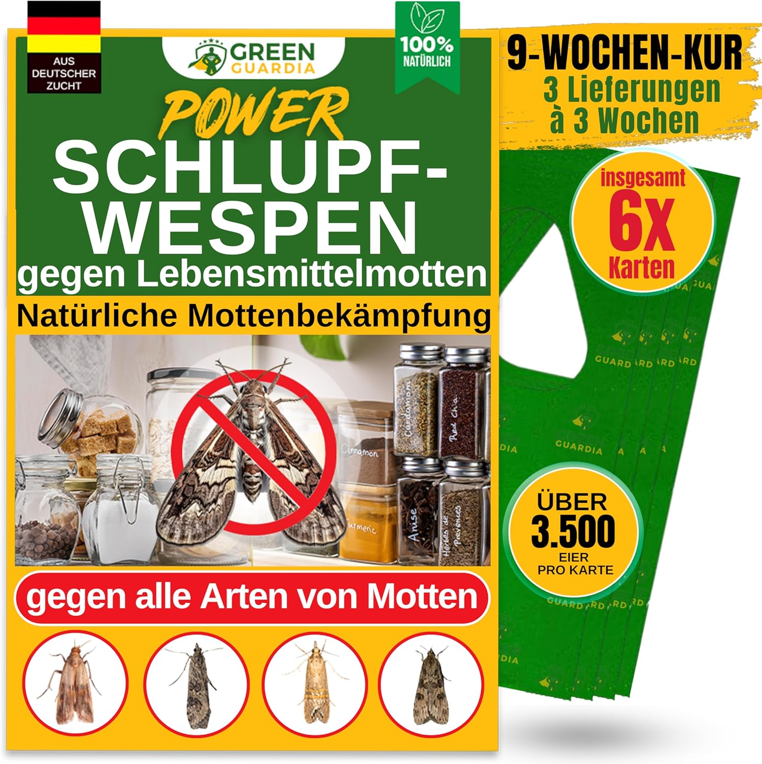 Effektiv gegen Lebensmittelmotten: GREEN GUARDIA Schlupfwespen im Test!